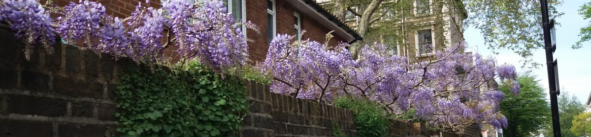 Michael Wells's Blog