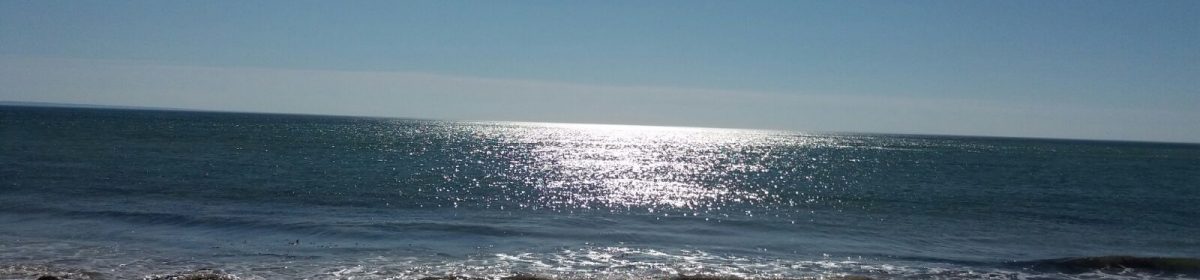 Michael Wells's Blog